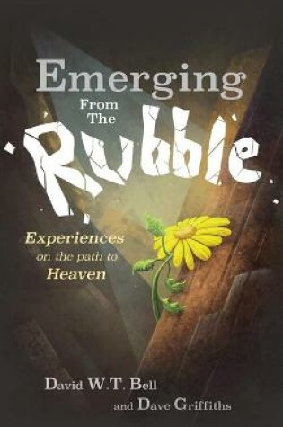 Cover of Emerging from the Rubble