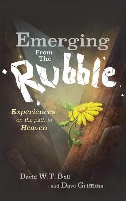 Book cover for Emerging from the Rubble