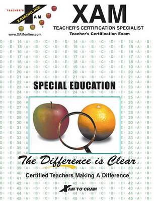 Cover of Instant Icts Special Education
