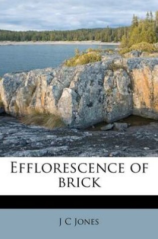 Cover of Efflorescence of Brick