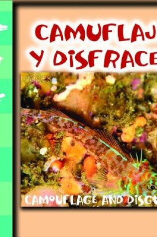 Cover of Camuflaje Y Disfraz