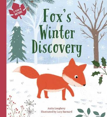 Book cover for Fox's Winter Discovery