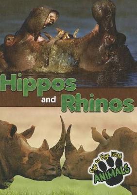 Book cover for Hippos and Rhinos