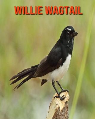 Book cover for Willie Wagtail