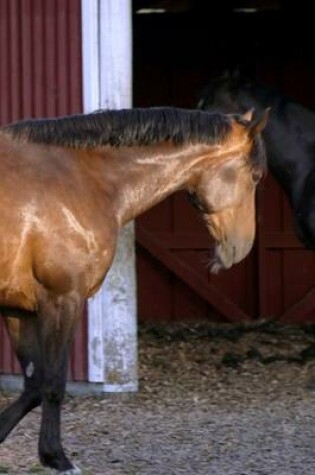 Cover of 2020 Daily Planner Horse Photo Equine Feeding Time 388 Pages