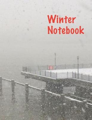 Book cover for Winter Notebook