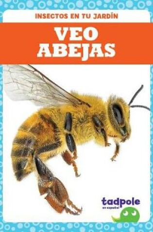 Cover of Veo Abejas (I See Bees)