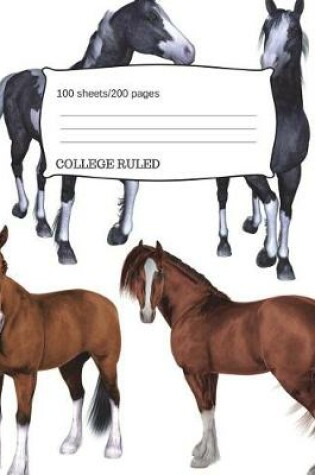 Cover of Horses Ponies Composition Notebook