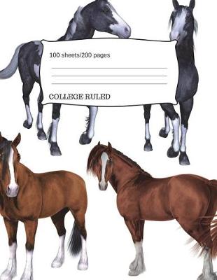 Book cover for Horses Ponies Composition Notebook