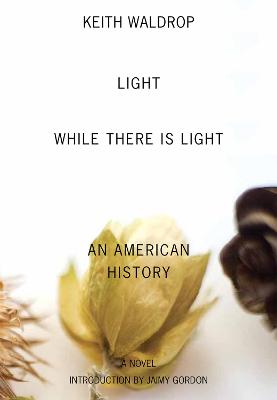 Book cover for Light While There Is Light