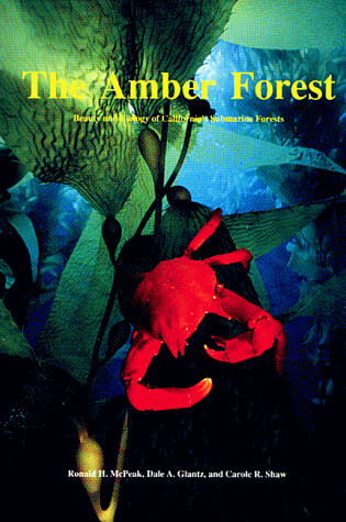 Cover of Amber Forest