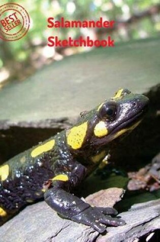 Cover of Salamander Sketchbook