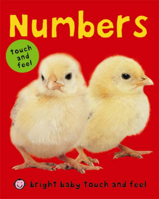Book cover for Bright Baby Touch & Feel Numbers