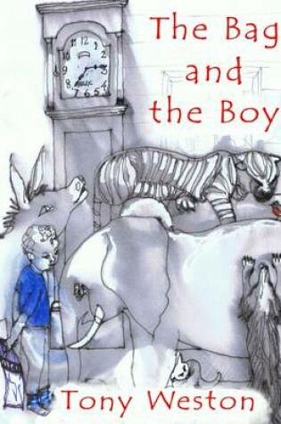 Cover of The Bag and the Boy