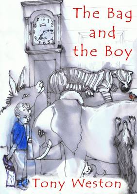 Book cover for The Bag and the Boy