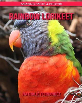 Book cover for Rainbow lorikeet