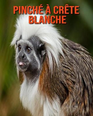 Book cover for Pinché à Crête Blanche