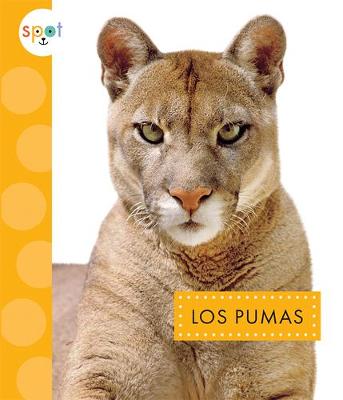 Book cover for Los Pumas