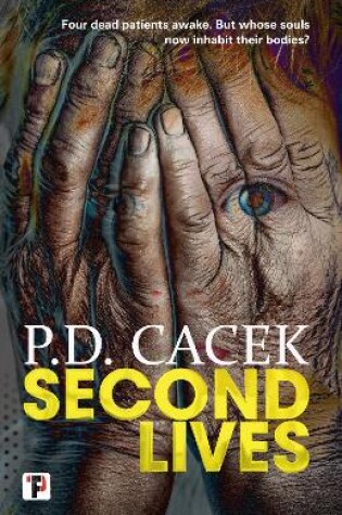 Cover of Second Lives