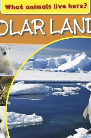 Cover of What Animals Live Here?: Polar Lands