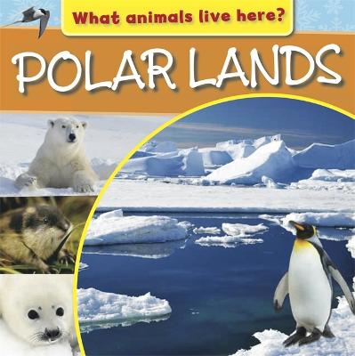 Cover of What Animals Live Here?: Polar Lands