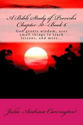 Cover of A Bible Study of Proverbs Chapter 30--Book 6