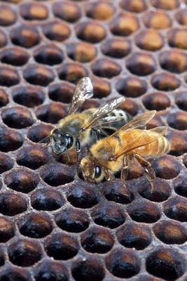 Book cover for Bees in a Hive Journal