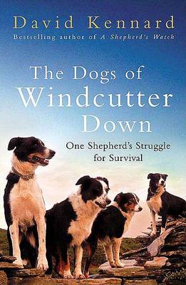 Book cover for The Dogs of Windcutter Down