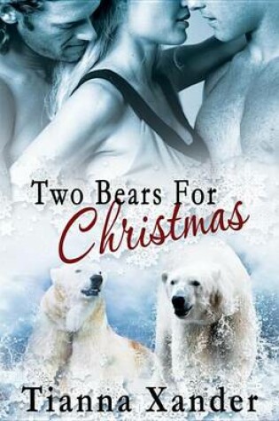 Cover of Two Bear for Christmas