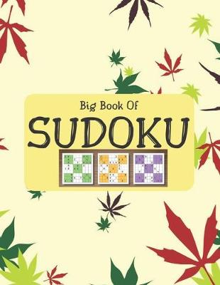 Book cover for Big Book Of Sudoku