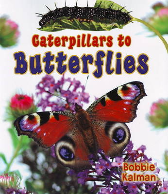 Book cover for Caterpillars to Butterflies