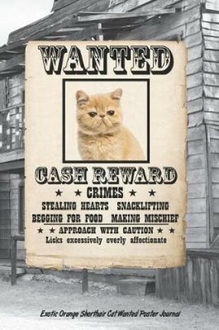 Cover of Exotic Orange Shorthair Cat Wanted Poster Journal