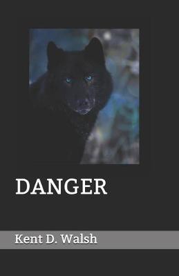 Book cover for Danger