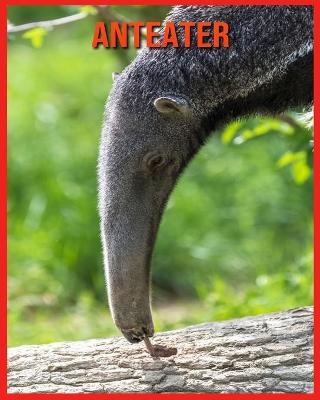 Book cover for Anteater