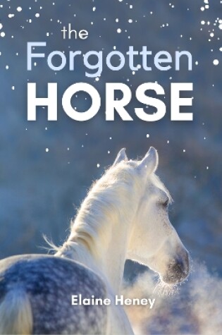 Cover of The Forgotten Horse