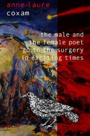 Cover of The Male and the Female Poet Go to the Surgery in Exciting Times