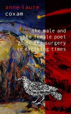 Book cover for The Male and the Female Poet Go to the Surgery in Exciting Times
