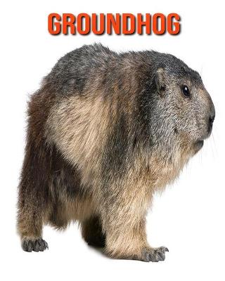 Book cover for Groundhog