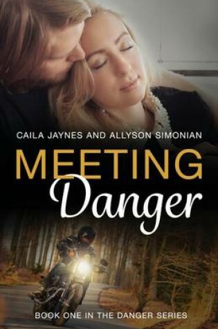 Cover of Meeting Danger