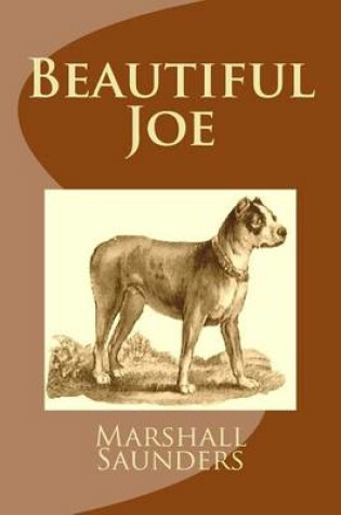 Cover of Beautiful Joe (Summit Classic Collector Editions)