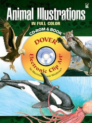 Cover of Animal Illustrations