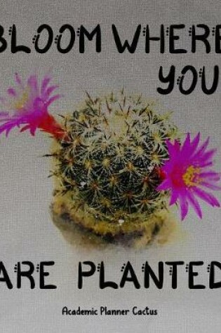 Cover of Bloom Where You Are Planted Academic Planner Cactus