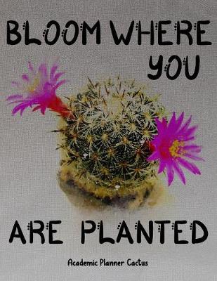 Book cover for Bloom Where You Are Planted Academic Planner Cactus