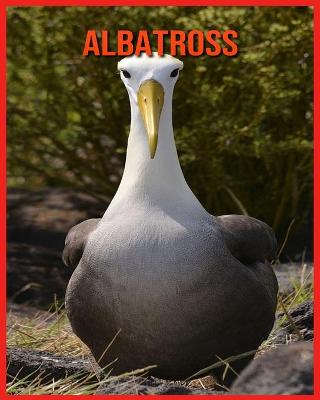 Book cover for Albatross