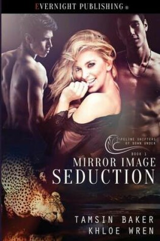 Cover of Mirror Image Seduction