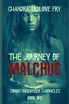 Book cover for The Journey of Malchus