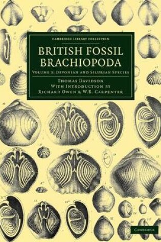 Cover of British Fossil Brachiopoda