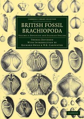 Book cover for British Fossil Brachiopoda