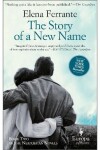 Book cover for The Story Of A New Name