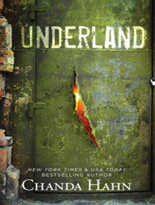 Book cover for Underland